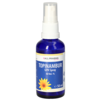 TOPINAMBUR SPRAY