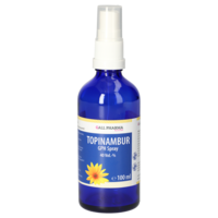 TOPINAMBUR SPRAY